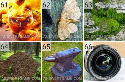 Lösung für das Spiel 101 Bild Februar 2022 Levels 61, 62, 63, 64, 65, 66