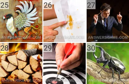 Lösung für das Spiel 101 Bild Februar 2022 Levels 25, 26, 27, 28, 29, 30