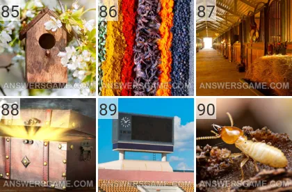 Solution du jeu 101 image Mars 2022 niveaux 85, 86, 87, 88, 89, 90