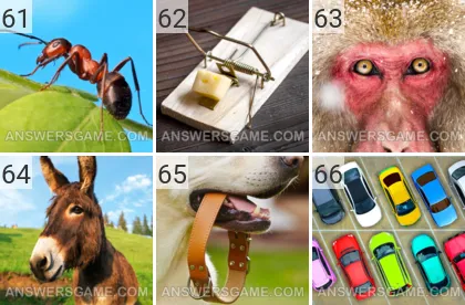 Solution du jeu 101 image Mars 2022 niveaux 61, 62, 63, 64, 65, 66