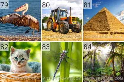 Solution du jeu 101 image Mai 2022 niveaux 79, 80, 81, 82, 83, 84