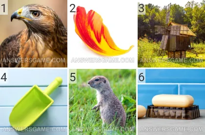 Solution du jeu 101 image Mai 2022 niveaux 1, 2, 3, 4, 5, 6