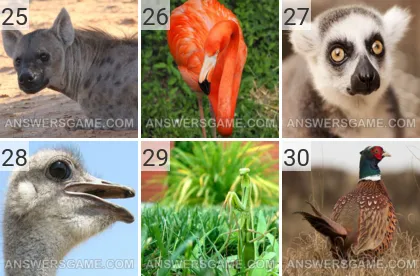 Solution du jeu 101 image Animaux niveaux 25, 26, 27, 28, 29, 30