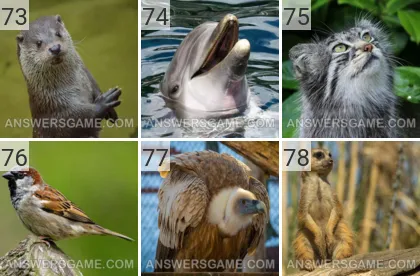 Solution du jeu 101 image Animaux niveaux 73, 74, 75, 76, 77, 78