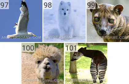 Solution du jeu 101 image Animaux niveaux 97, 98, 99, 100, 101