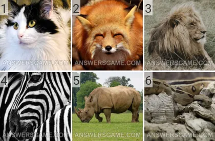 Solution du jeu 101 image Animaux niveaux 1, 2, 3, 4, 5, 6