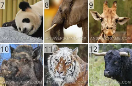 Solution du jeu 101 image Animaux niveaux 7, 8, 9, 10, 11, 12