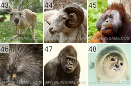 Solution du jeu 101 image Animaux niveaux 43, 44, 45, 46, 47, 48