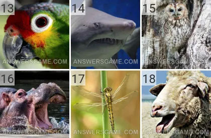 Solution du jeu 101 image Animaux niveaux 13, 14, 15, 16, 17, 18