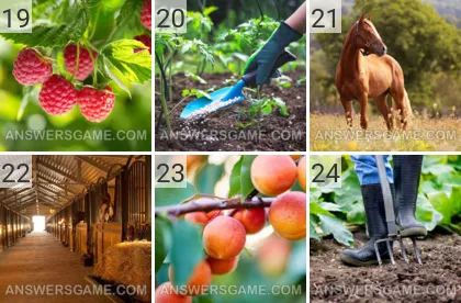 Solution du jeu 101 image Ferme niveaux 19, 20, 21, 22, 23, 24