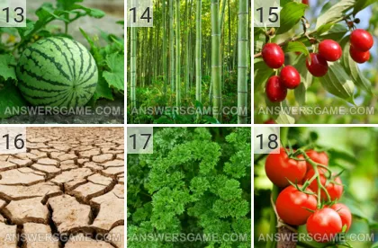 Solution du jeu 101 image Ferme niveaux 13, 14, 15, 16, 17, 18