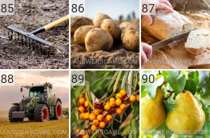 Solution du jeu 101 image Ferme niveaux 85, 86, 87, 88, 89, 90