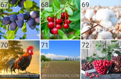 Solution du jeu 101 image Ferme niveaux 67, 68, 69, 70, 71, 72