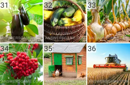 Solution du jeu 101 image Ferme niveaux 31, 32, 33, 34, 35, 36