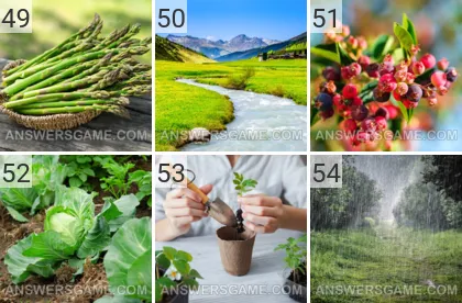 Solution du jeu 101 image Ferme niveaux 49, 50, 51, 52, 53, 54