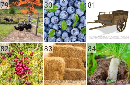 Solution du jeu 101 image Ferme niveaux 79, 80, 81, 82, 83, 84