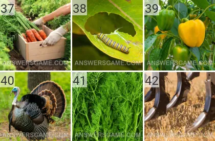 Solution du jeu 101 image Ferme niveaux 37, 38, 39, 40, 41, 42