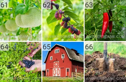 Solution du jeu 101 image Ferme niveaux 61, 62, 63, 64, 65, 66