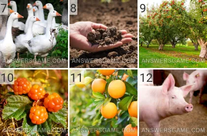 Solution du jeu 101 image Ferme niveaux 7, 8, 9, 10, 11, 12