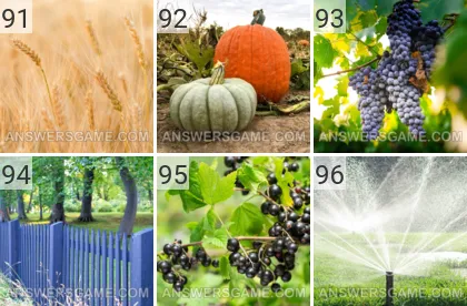 Solution du jeu 101 image Ferme niveaux 91, 92, 93, 94, 95, 96