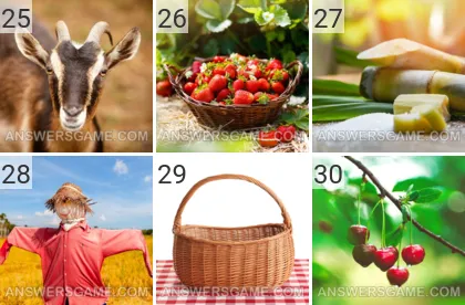 Solution du jeu 101 image Ferme niveaux 25, 26, 27, 28, 29, 30