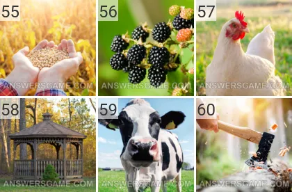 Solution du jeu 101 image Ferme niveaux 55, 56, 57, 58, 59, 60