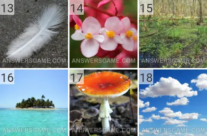 Solution du jeu 101 image Nature niveaux 13, 14, 15, 16, 17, 18