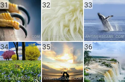 Solution du jeu 101 image Nature niveaux 31, 32, 33, 34, 35, 36
