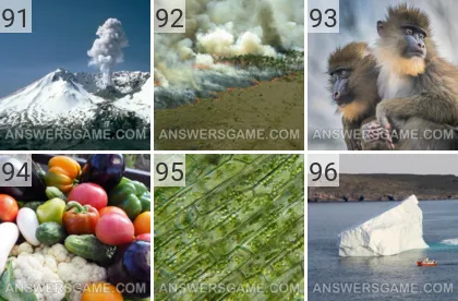 Solution du jeu 101 image Nature niveaux 91, 92, 93, 94, 95, 96