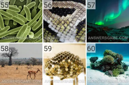 Solution du jeu 101 image Nature niveaux 55, 56, 57, 58, 59, 60