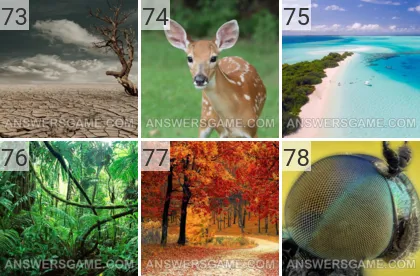 Solution du jeu 101 image Nature niveaux 73, 74, 75, 76, 77, 78