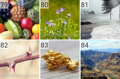Solution du jeu 101 image Nature niveaux 79, 80, 81, 82, 83, 84