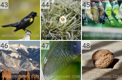 Solution du jeu 101 image Nature niveaux 43, 44, 45, 46, 47, 48