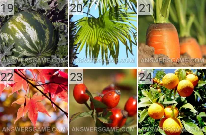 Lösung für das Spiel 101 Bild Pflanzen Levels 19, 20, 21, 22, 23, 24