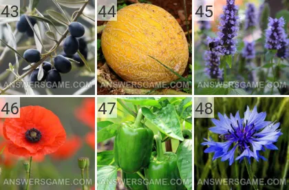 Lösung für das Spiel 101 Bild Pflanzen Levels 43, 44, 45, 46, 47, 48