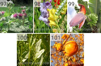 Lösung für das Spiel 101 Bild Pflanzen Levels 97, 98, 99, 100, 101