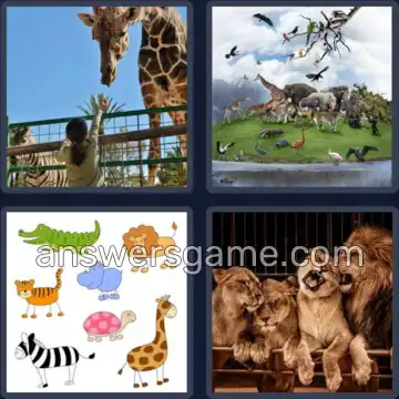 4 Bilder 1 Wort 3 Buchstaben ZOO