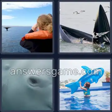 4 Bilder 1 Wort 3 Buchstaben WAL