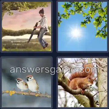 4 Bilder 1 Wort 3 Buchstaben AST