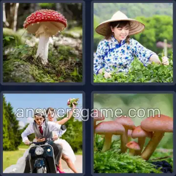 4 Bilder 1 Wort 3 Buchstaben HUT