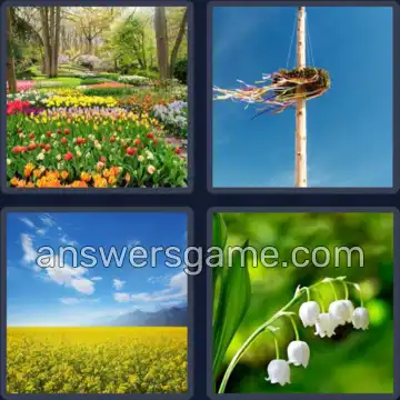 4 Bilder 1 Wort 3 Buchstaben MAI