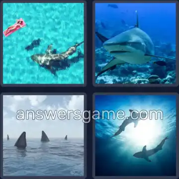 4 Bilder 1 Wort 3 Buchstaben HAI