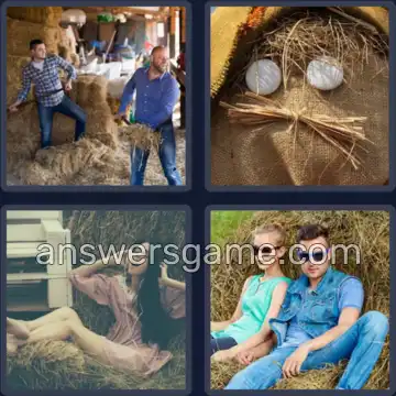 4 Bilder 1 Wort 3 Buchstaben HEU