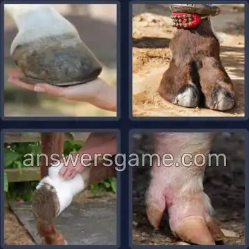 4 Bilder 1 Wort 3 Buchstaben HUF