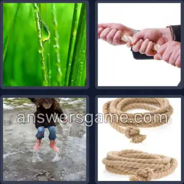 4 Bilder 1 Wort 3 Buchstaben TAU