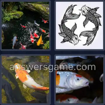 4 Bilder 1 Wort 3 Buchstaben KOI