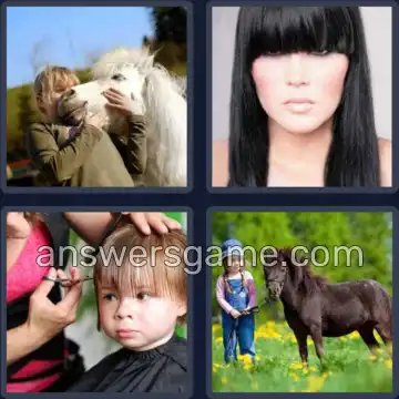 4 Bilder 1 Wort 4 Buchstaben PONY