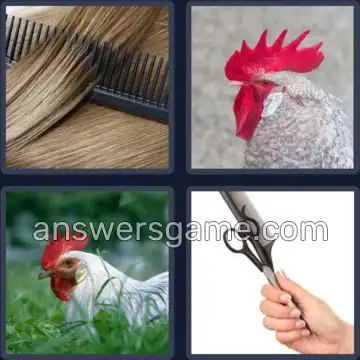 4 Bilder 1 Wort 4 Buchstaben KAMM