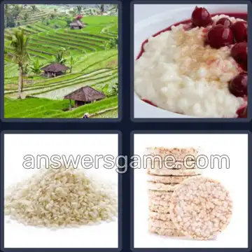4 Bilder 1 Wort 4 Buchstaben REIS
