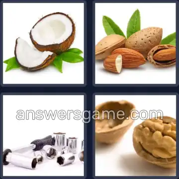 4 Bilder 1 Wort 4 Buchstaben NUSS